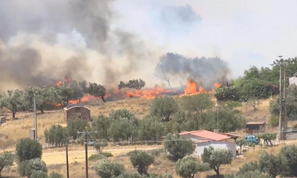Πυρκαγιά στην Πλάκα Κερατέας: Σε ύφεση το πύρινο μέτωπο